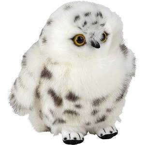 Small Snowy Cuddly Owl